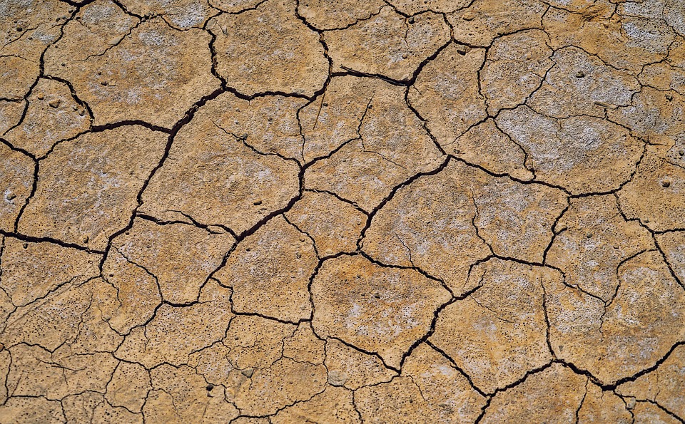 service-section-image-6